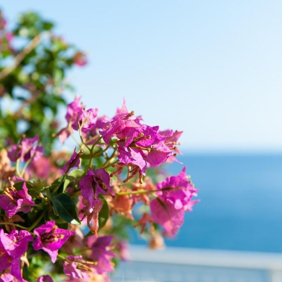 Made In Sicily Santa Tecla Bed & Breakfast Acireale Dış mekan fotoğraf